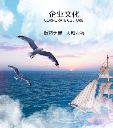 企业文化