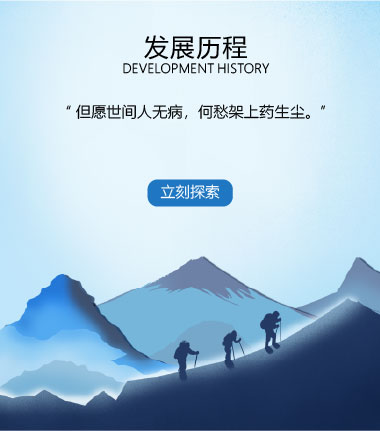 发展历程